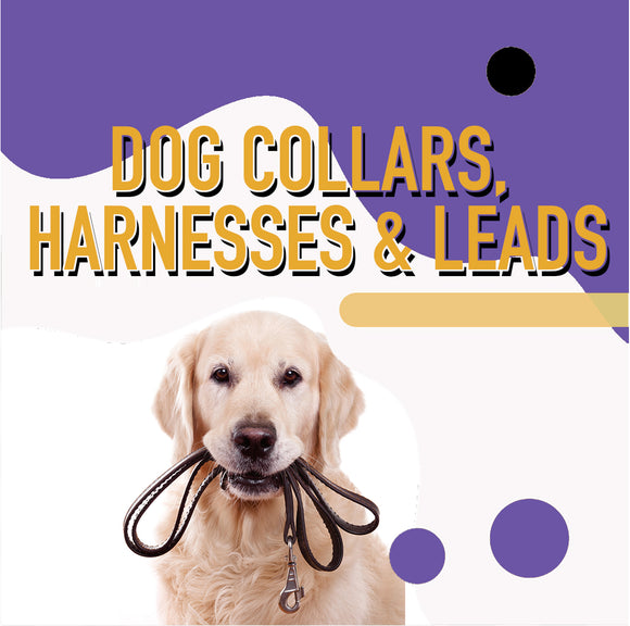 Dog Collars, Harnesses & Leads.