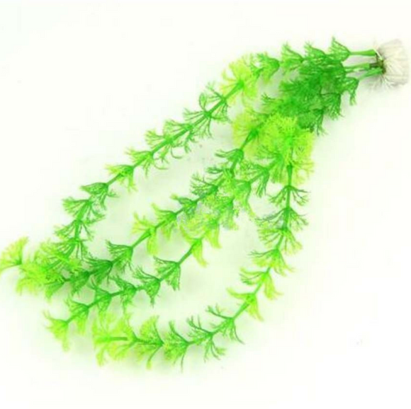 Fishbowl Scenery Simulation Aquatic Plant Simulation Grass Green Tree Scenery King 3 Vanilla Green.