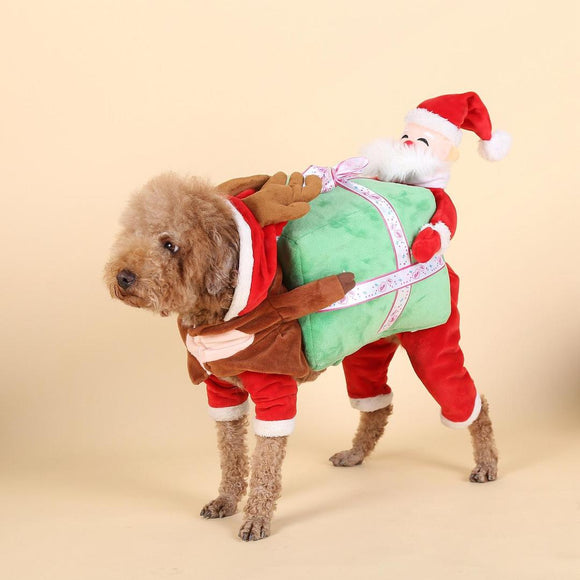 Santa Claus gift box turned into a pet suit.
