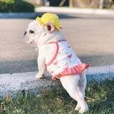 Pet cute fisherman hat.