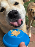 SN Flying Saucer Durable Rubber Chew Toy & Treat Dispenser.