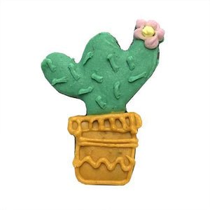 Cactus.
