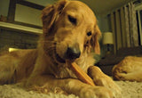 Gold Yak Chews for Large Dogs (1 lb to 5lb Bags).