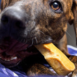 Gold Yak Chews for Large Dogs (1 lb to 5lb Bags).
