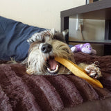 Gold Yak Chews for Large Dogs (1 lb to 5lb Bags).