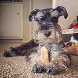 Gold Yak Chews for Large Dogs (1 lb to 5lb Bags).