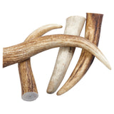 Elk Antler Tips Dog Chews.