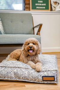 Lounger Pet Bed in Sapphire Spaniel.