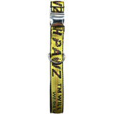 Industrial Belt | Collar.