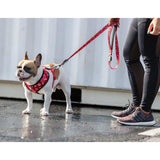 Monogram Hype | Leash.