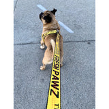 Industrial Belt | Leash.