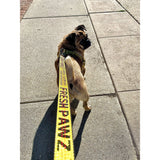 Industrial Belt | Leash.