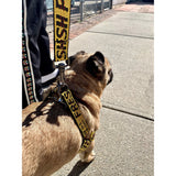Industrial Belt | Step-In-Harness.