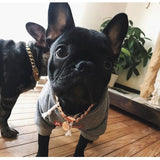 Miami Rose Cuban Link - Small Size Range | Luxury Collar.