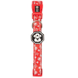 Monogram Hype | Collar.