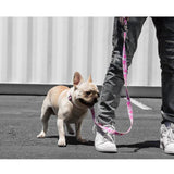 Pastel Camo | Leash.