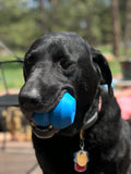 ID Double Trouble Durable Rubber Chew Toy and Treat Dispenser - Large - Blue.
