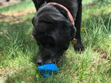 SN Flying Saucer Durable Rubber Chew Toy & Treat Dispenser.