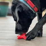 Starfish Ultra Durable Nylon Dog Chew Toy for Aggressive Chewers.