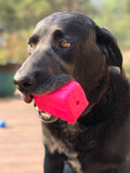 MKB Surf's Up! Retro Van  Durable Chew Toy & Treat Dispenser.