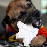 SP Snowflake Ultra Durable Nylon Dog Chew Toy for Aggressive Chewers - White.