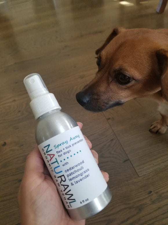 Flea + Tick Prevention For Dogs.