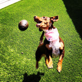 MKB Football Durable Synthetic Rubber Chew Toy and Treat Dispenser - Medium - Brown.