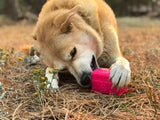 MKB Surf's Up! Retro Van  Durable Chew Toy & Treat Dispenser.