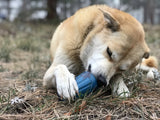 ID Wire Nut Durable Rubber Chew Toy & Treat Dispenser - Large - Blue.