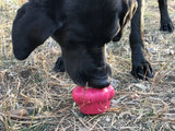 Cupcake Durable Rubber Chew Toy & Treat Dispenser - Pink.