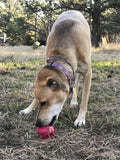 Cupcake Durable Rubber Chew Toy & Treat Dispenser - Pink.