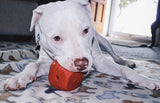 MKB Dice Toy Durable Rubber Chew Toy & Treat Dispenser - Large - Red.
