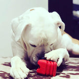 MKB Heart on a String Ultra-Durable Durable Rubber Chew Toy, Reward Toy, Tug Toy, and Retrieving Toy - Large - Red.