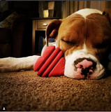 MKB Heart on a String Ultra-Durable Durable Rubber Chew Toy, Reward Toy, Tug Toy, and Retrieving Toy - Large - Red.