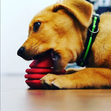 MKB Heart on a String Ultra-Durable Durable Rubber Chew Toy, Reward Toy, Tug Toy, and Retrieving Toy - Large - Red.