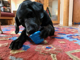 SN Space Capsule Durable Rubber Chew Toy & Treat Dispenser - Large - Blue.