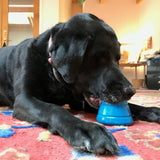 SN Space Capsule Durable Rubber Chew Toy & Treat Dispenser - Large - Blue.