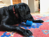 SN Space Capsule Durable Rubber Chew Toy & Treat Dispenser - Large - Blue.