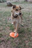 SP Bottle Top Flyer Durable Rubber Retrieving Frisbee - Orange Squeeze.