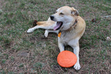 SP Bottle Top Flyer Durable Rubber Retrieving Frisbee - Orange Squeeze.