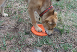 SP Bottle Top Flyer Durable Rubber Retrieving Frisbee - Orange Squeeze.