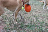 SP Bottle Top Flyer Durable Rubber Retrieving Frisbee - Orange Squeeze.