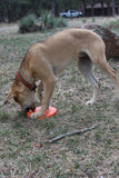 SP Bottle Top Flyer Durable Rubber Retrieving Frisbee - Orange Squeeze.