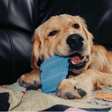 SP Coffee Cup Ultra Durable Nylon Dog Chew Toy for Aggressive Chewers - Blue.