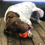 SP Crazy Bounce Ultra Durable Rubber Chew & Retrieving Toy - Large - Orange Squeeze.