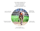 SP Crazy Bounce Ultra Durable Rubber Chew & Retrieving Toy - Large - Orange Squeeze.