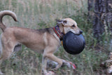 SP Magnum Bottle Top Flyer Ultra Durable Rubber Retrieving Frisbee - Large - Black.