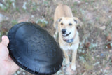 SP Magnum Bottle Top Flyer Ultra Durable Rubber Retrieving Frisbee - Large - Black.
