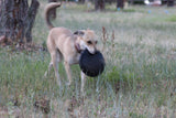 SP Magnum Bottle Top Flyer Ultra Durable Rubber Retrieving Frisbee - Large - Black.