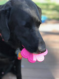SP Paw Print Ultra Durable Nylon Dog Chew Toy for Aggressive Chewers - Pink.